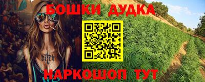 стафф Моздок